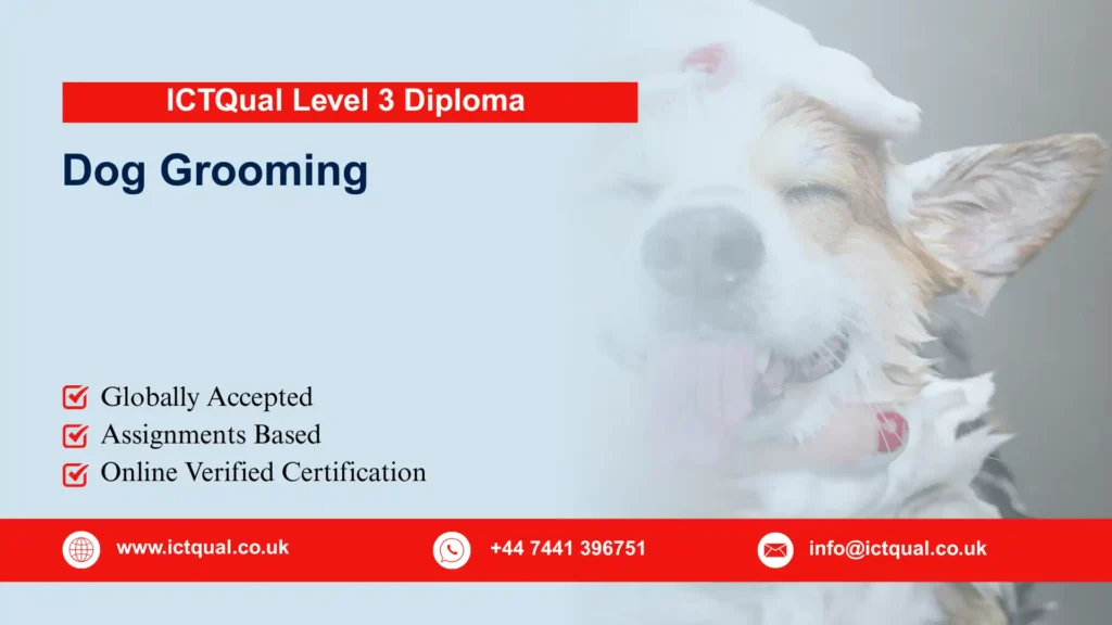 ICTQual Level 3 Diploma in Dog Grooming