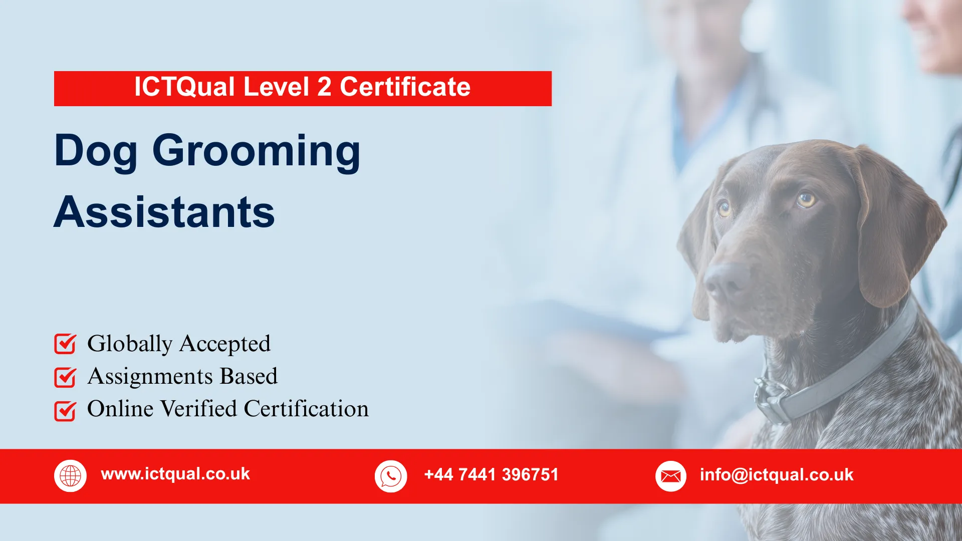 ICTQual Level 2 Certificate for Dog Grooming Assistants