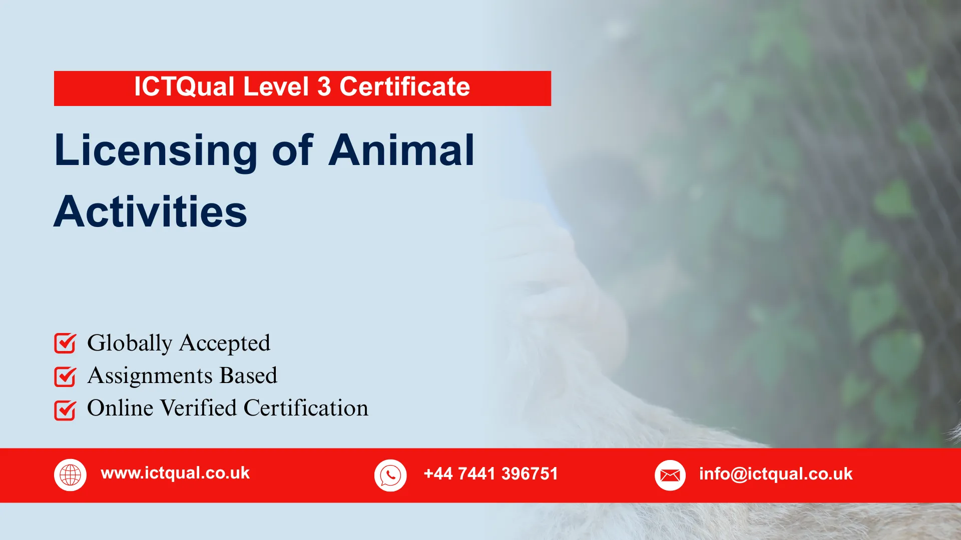 ICTQual Level 3 Certificate in Licensing of Animal Activities