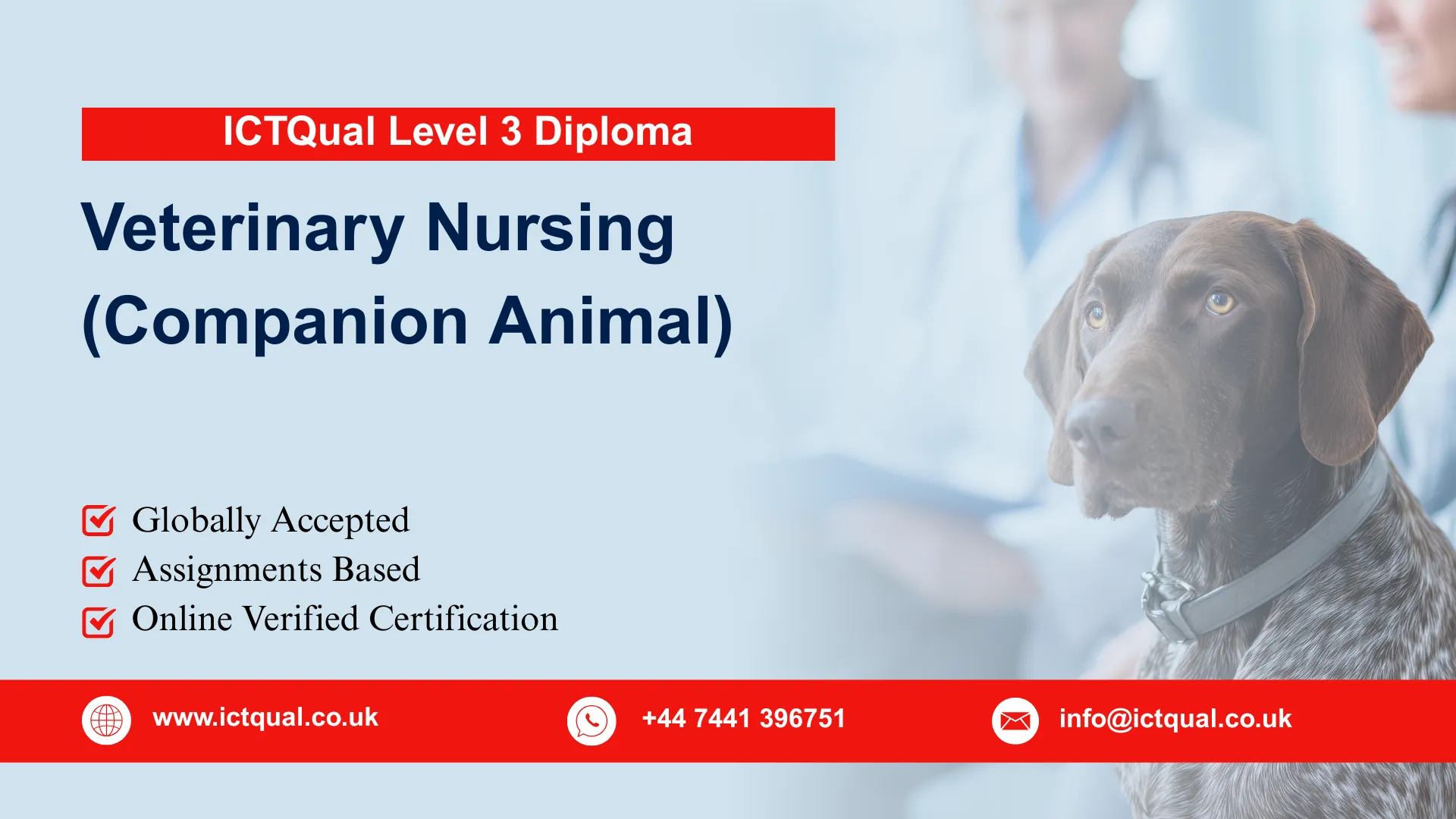 ICTQual Level 3 Diploma in Veterinary Nursing (Companion Animal)