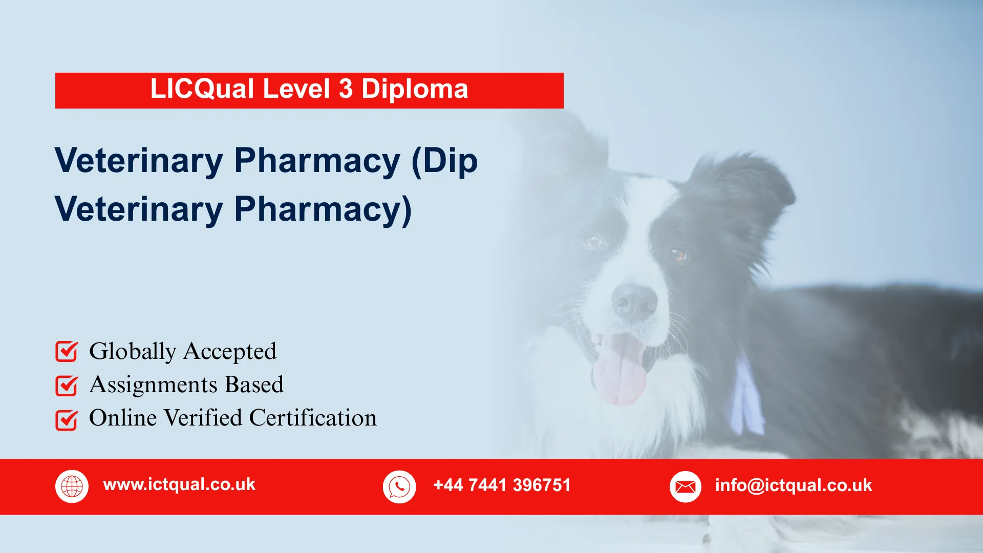 LICQual Level 3 Diploma in Veterinary Pharmacy (Dip Veterinary Pharmacy) 