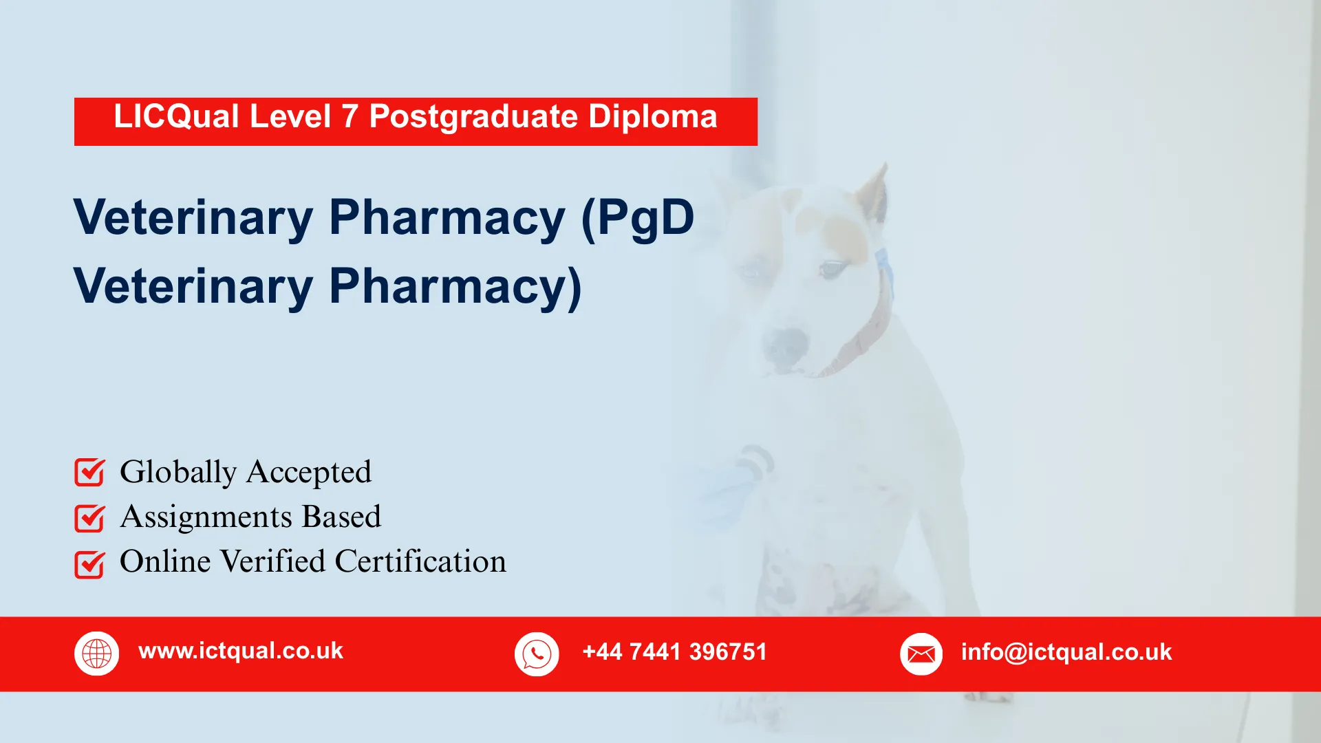 LICQual Level 7 Postgraduate Diploma in Veterinary Pharmacy (PgD Veterinary Pharmacy)